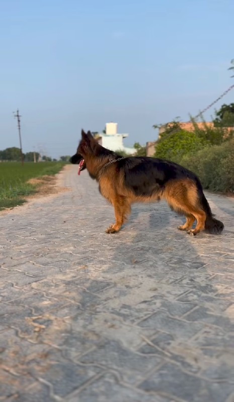 थंबनेल 2