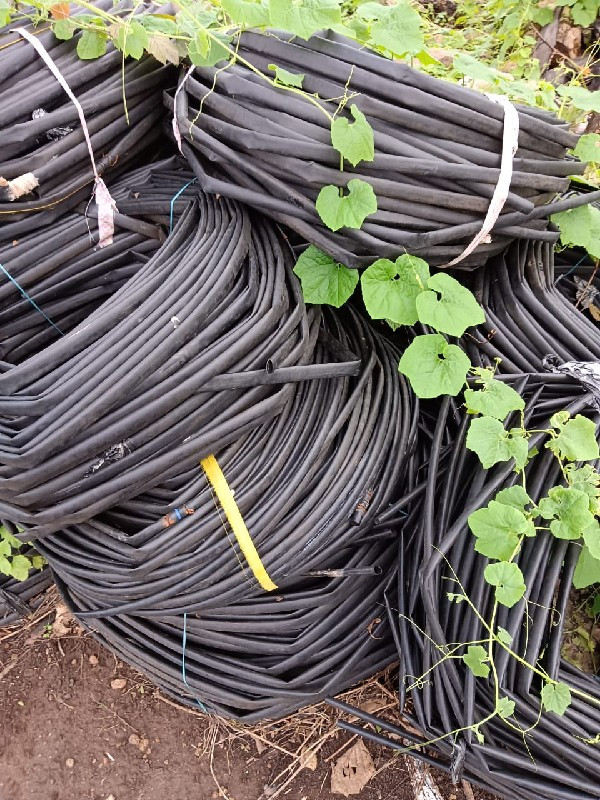 થંબનેલ 5