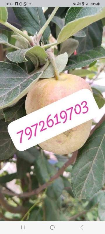 થંબનેલ 3