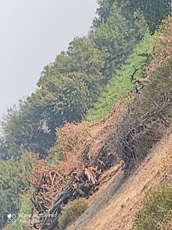 બર્તન વેચવાના સે