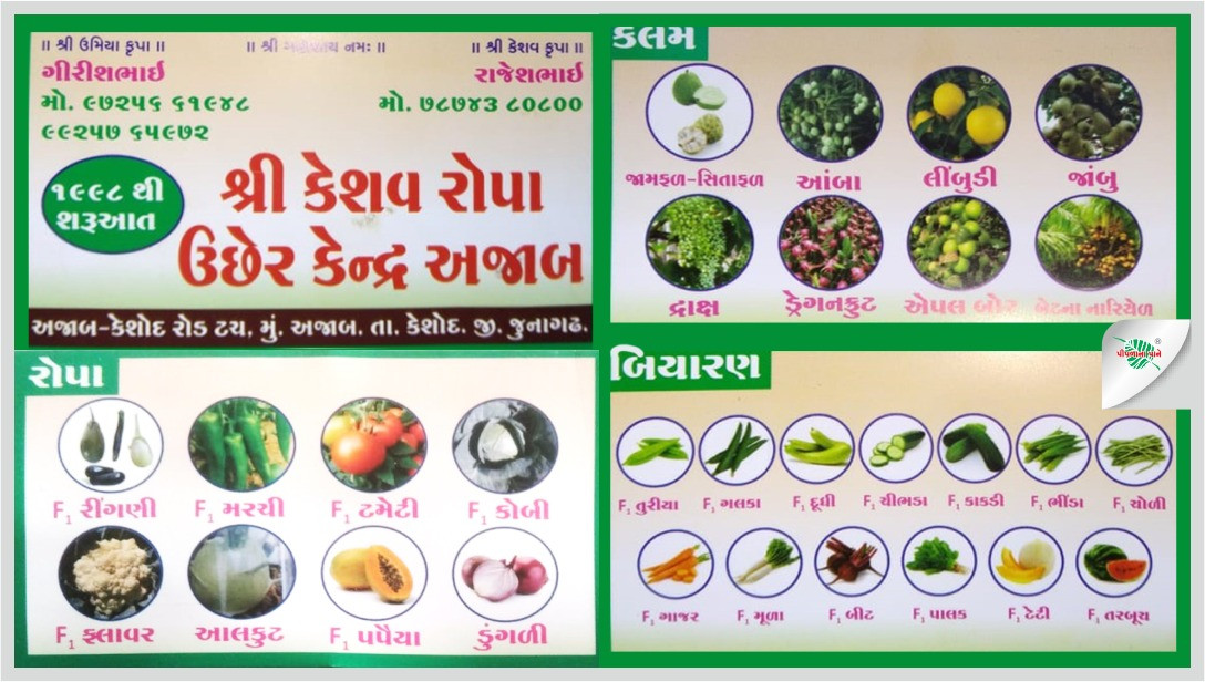 કેશવ રોપા ઉછેર કેન્દૃ અજાબ