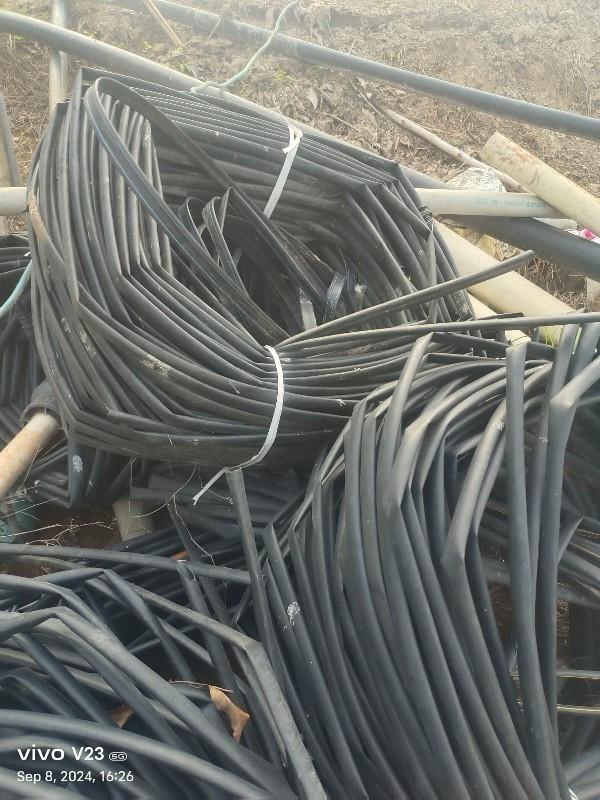 थंबनेल 4