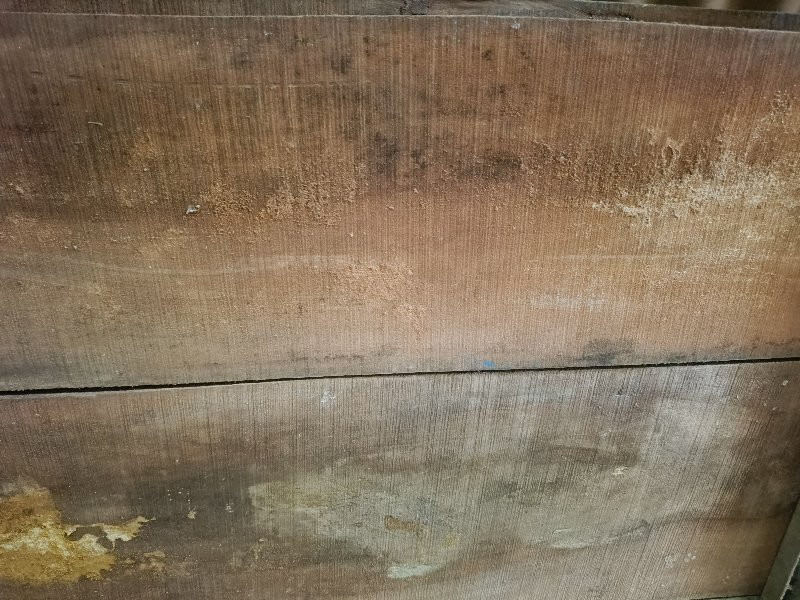 જાંબુડા 
 પાટીયા અને સાજડની પાટલી