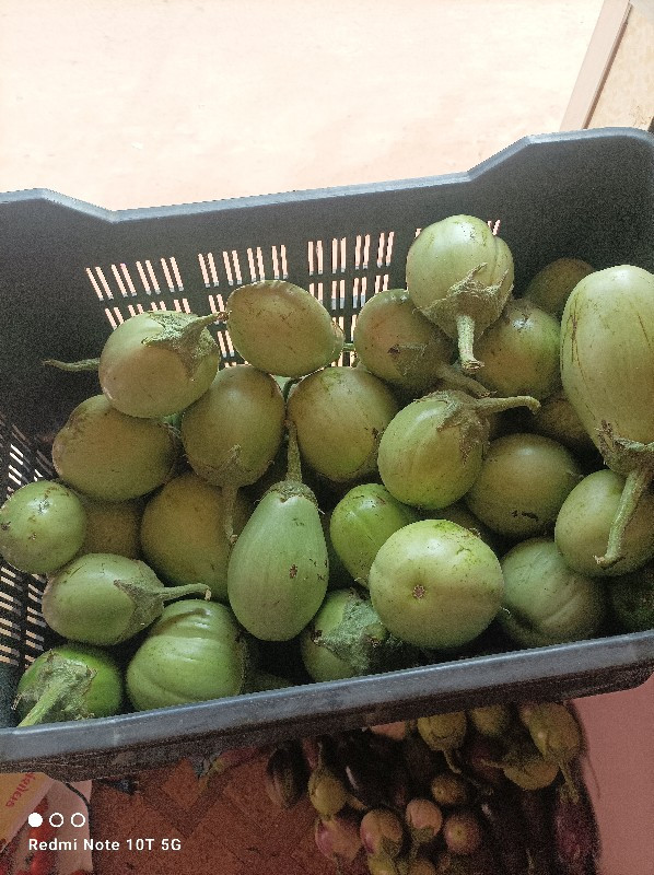 થંબનેલ 2