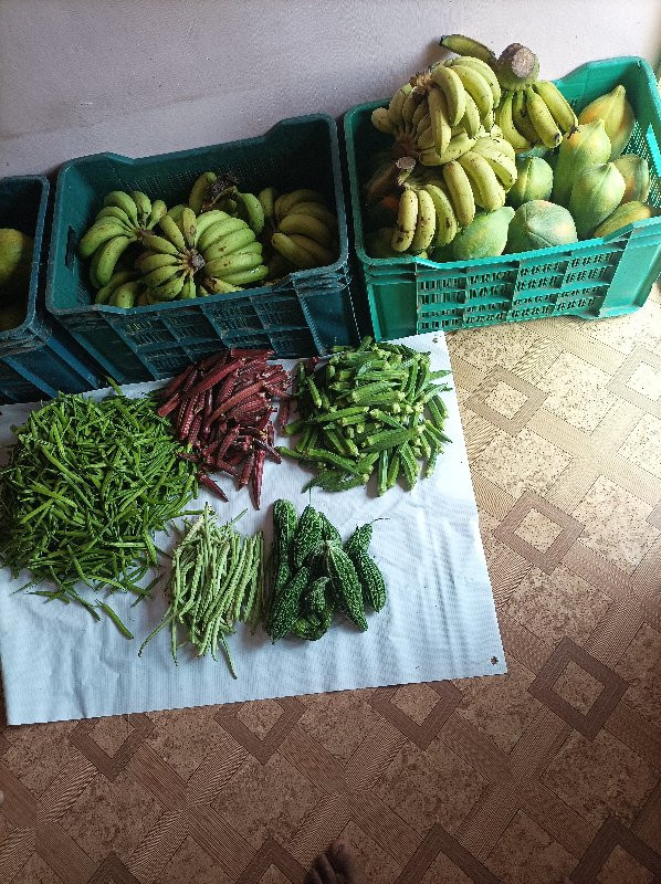 સૂર્યવંશી સુભાષ પાલેકર ફાર્મ