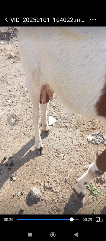 थंबनेल 2