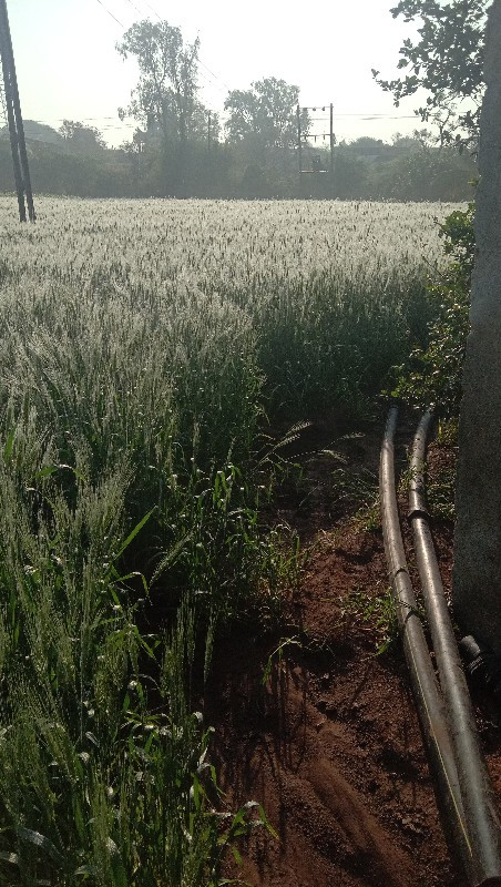 લાઠોદરા ગામે જમિન વેચવાની છે