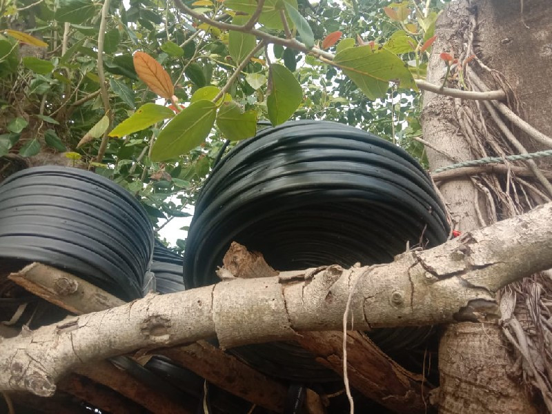 थंबनेल 5