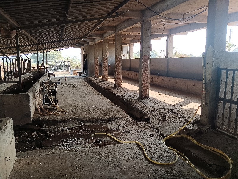 થંબનેલ 3