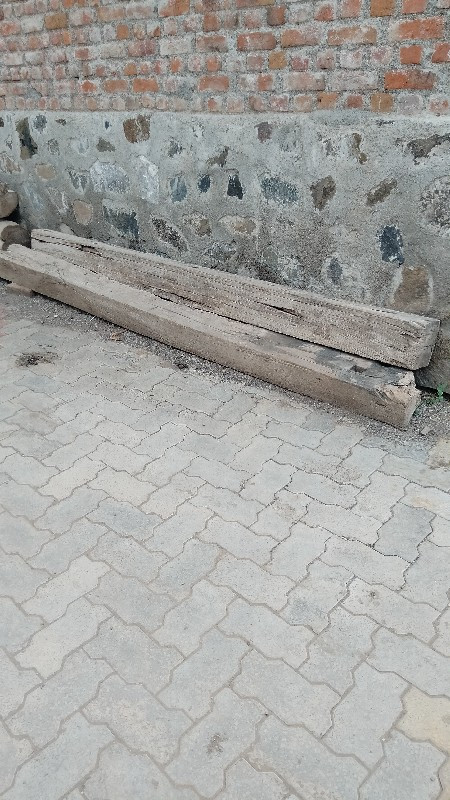 થંબનેલ 3