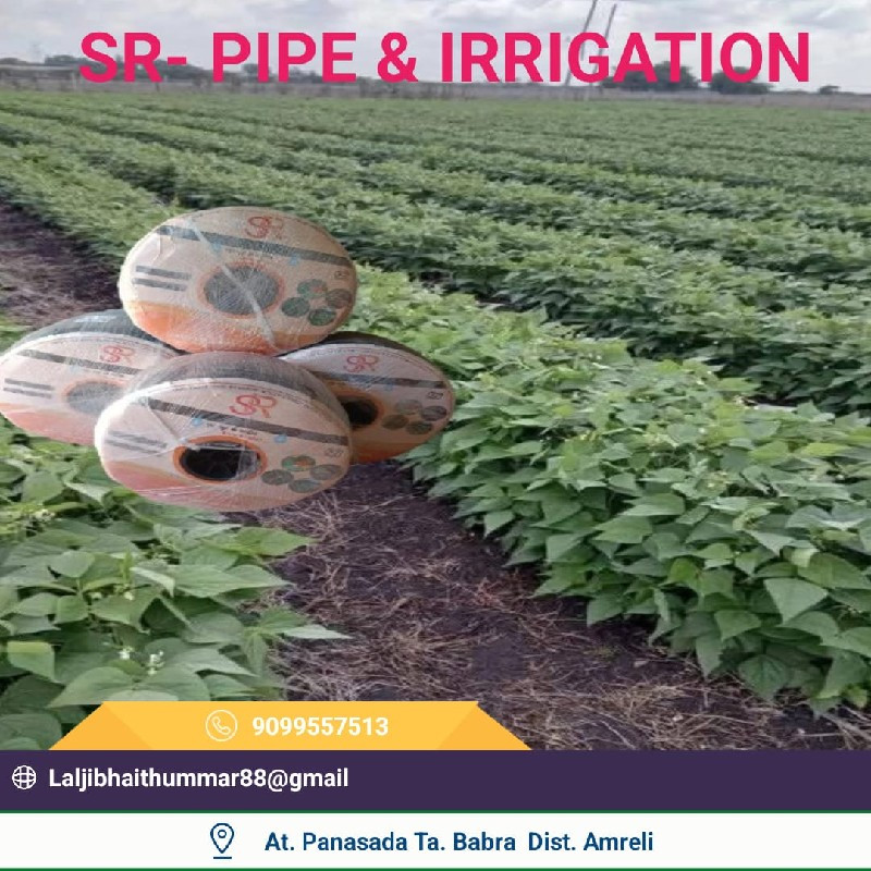 થંબનેલ 6