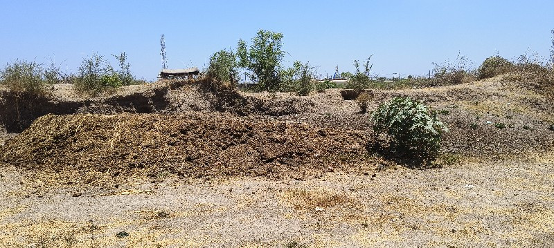 થંબનેલ 3