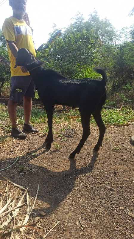 थंबनेल 2