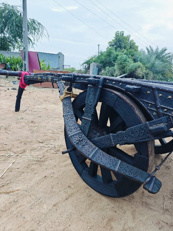 થંબનેલ 3