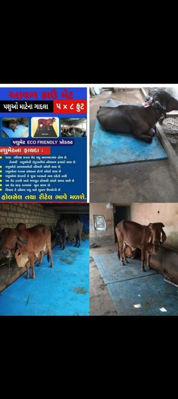 થંબનેલ 5