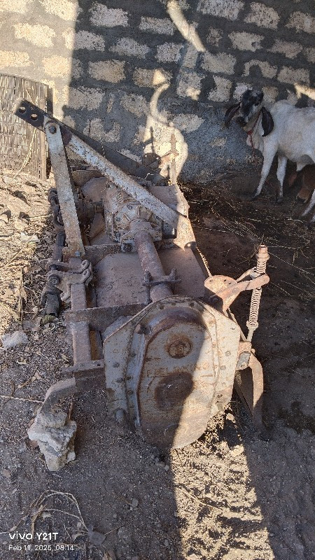 6.5ફૂટ રોટવોટર ફિલ્કિગ
