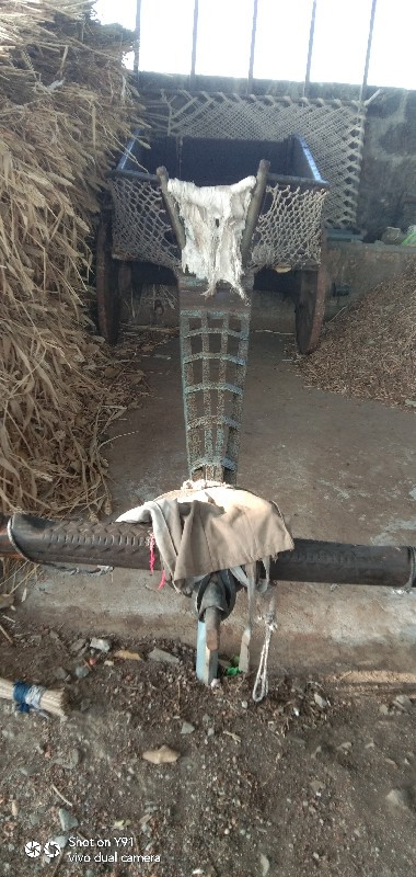 थंबनेल 3