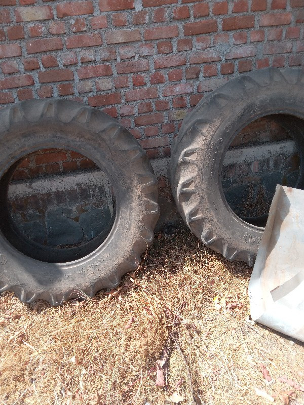 थंबनेल 3