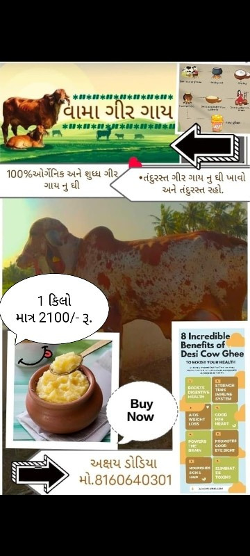 ગીર ગાય નું ઘી...
ghee