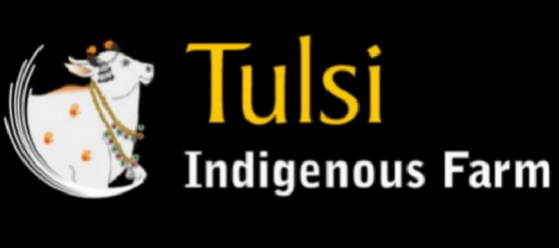 દેશી ગાય નું ગૌમૂત્ર