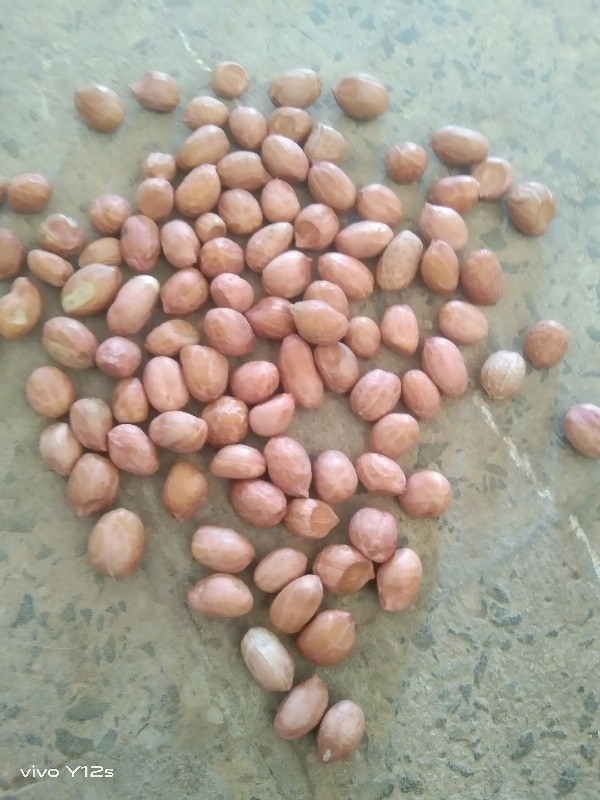 gj 38 nabar. madvi biyaran