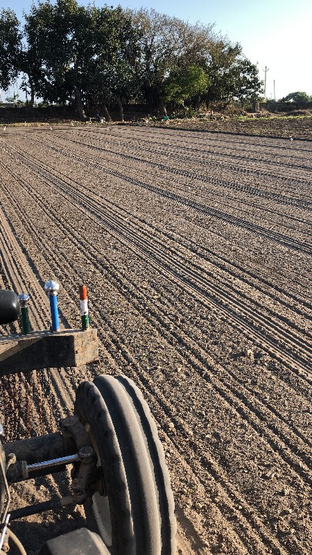 થંબનેલ 3