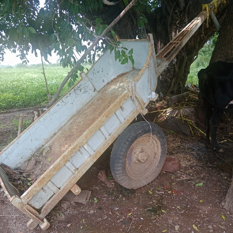 થંબનેલ 2