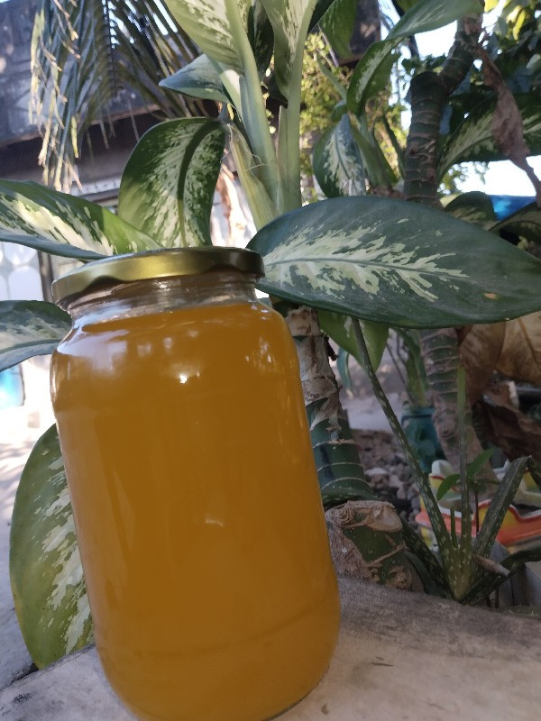 थंबनेल 2