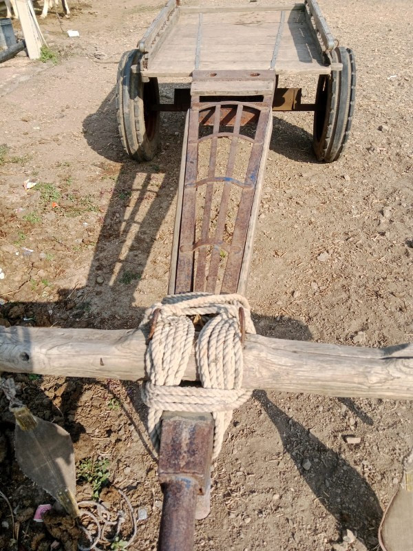 थंबनेल 2