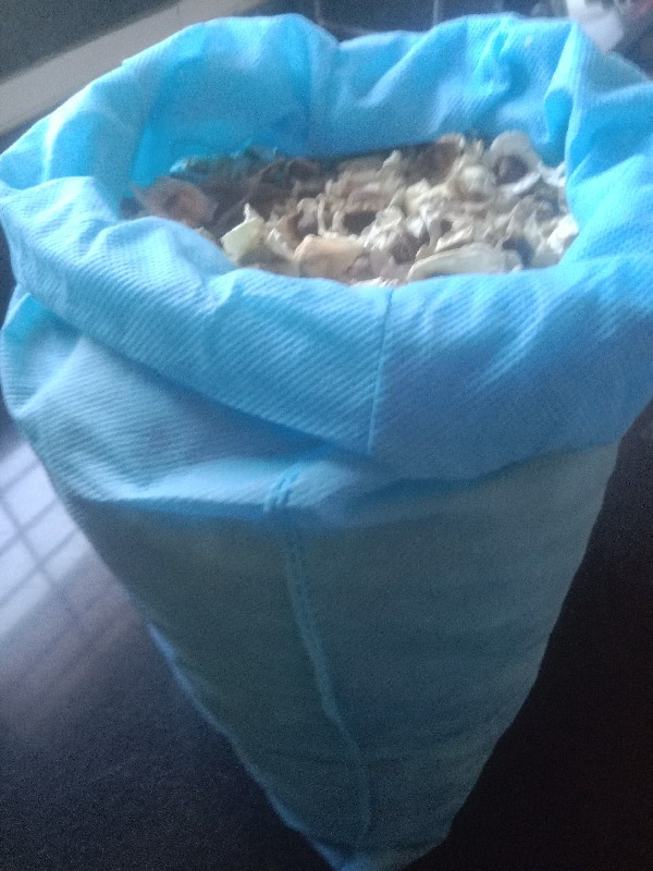 સરગવાનું બી વેચવાનું છે.