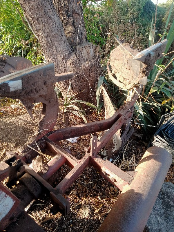 થંબનેલ 3