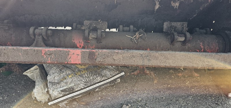 maschio tarminatarmalchar