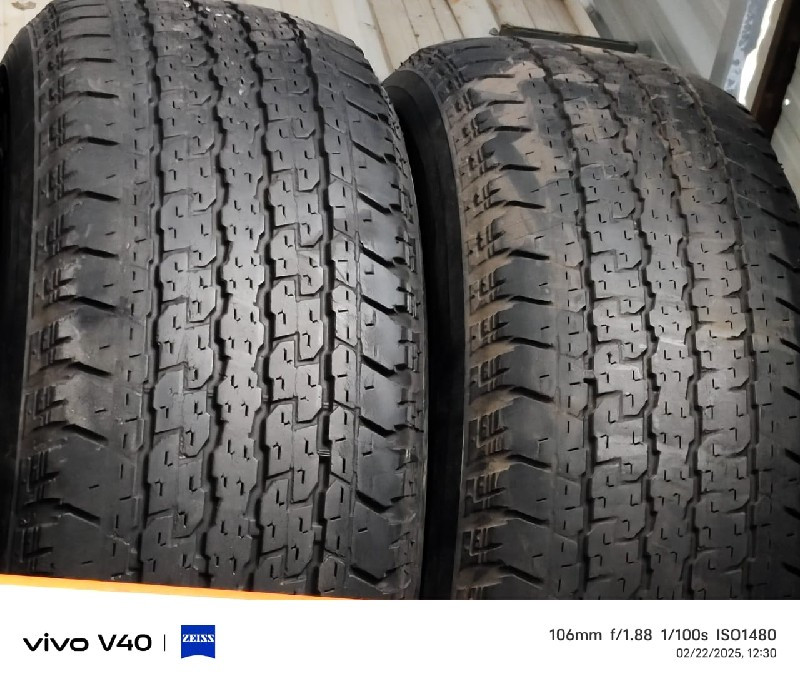 थंबनेल 3