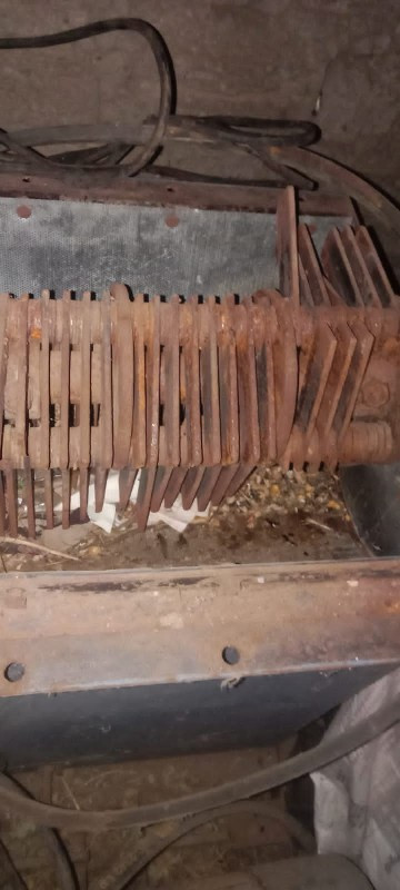 થંબનેલ 3