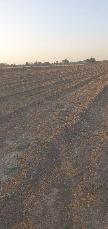 थंबनेल 2