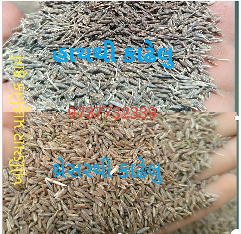 જીરું એક કિલો રૂ 400