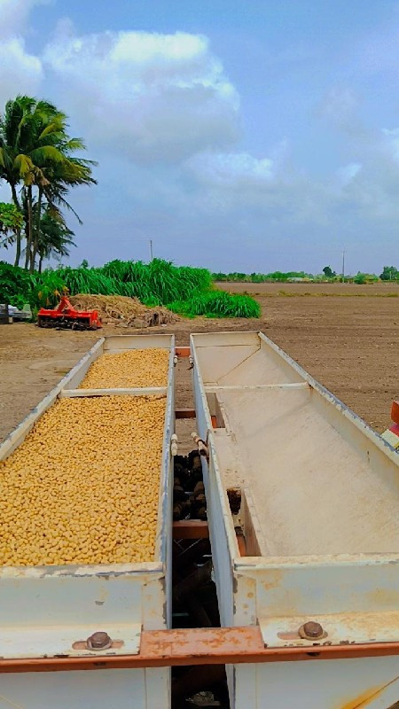 થંબનેલ 3