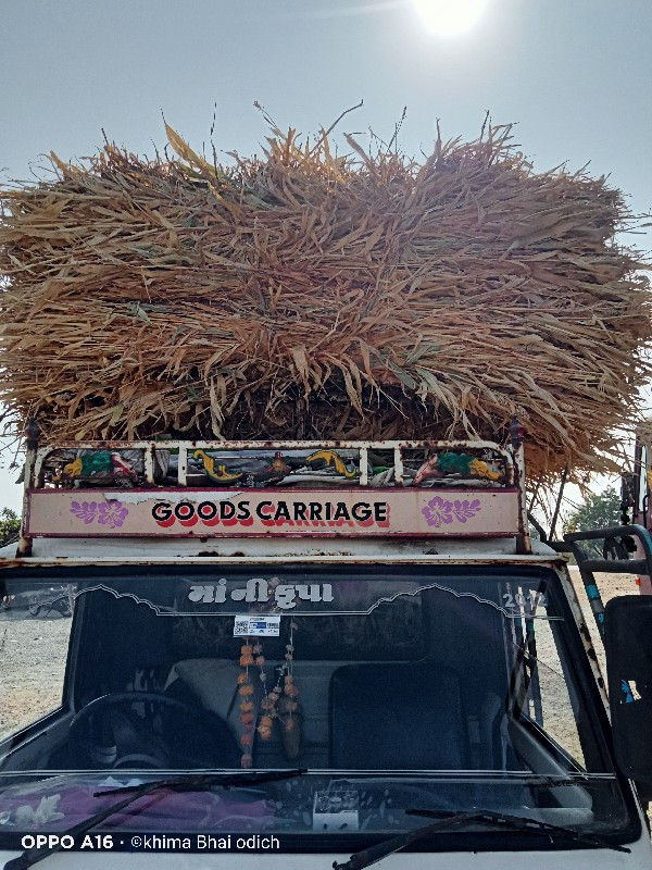 નીરણ ભૂકોલેવેચ જામનગર પોચનાભાવ=