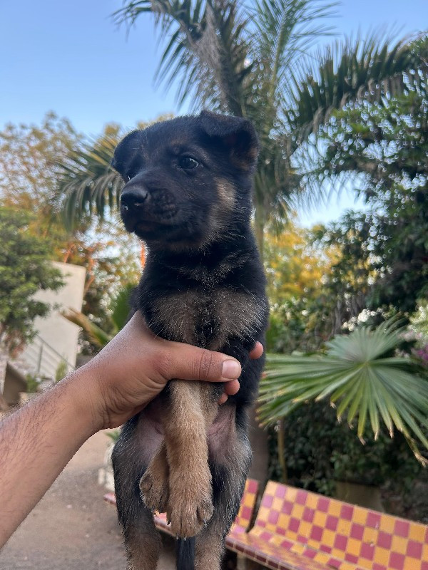 थंबनेल 2