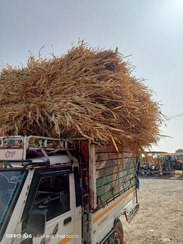 થંબનેલ 2