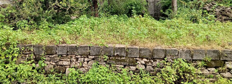 પ્લોટ વેચવા ના છે