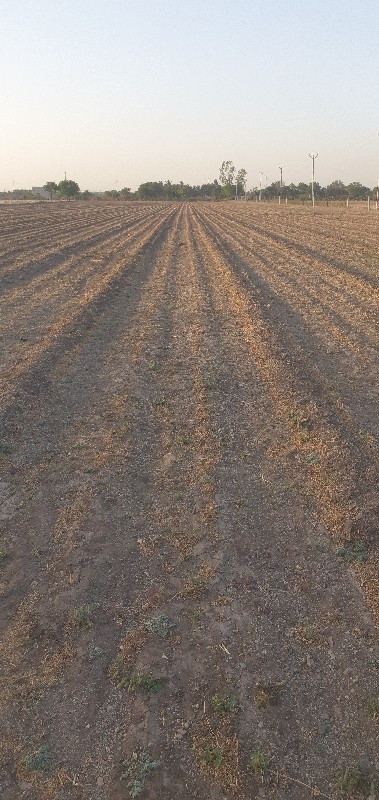 थंबनेल 3