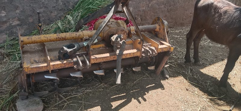 શક્તિ સલી