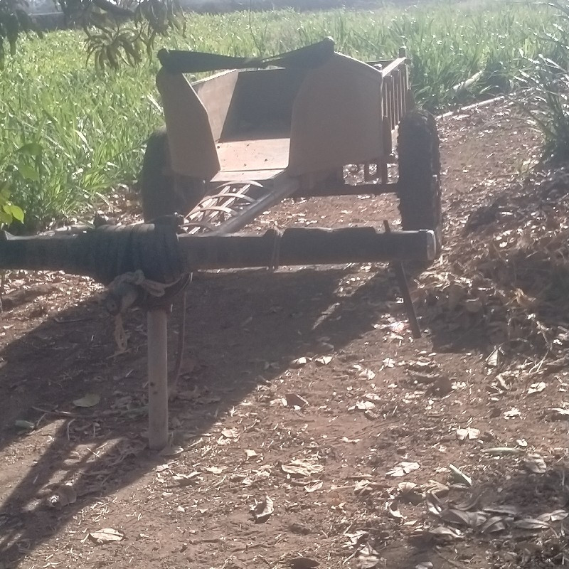 थंबनेल 3