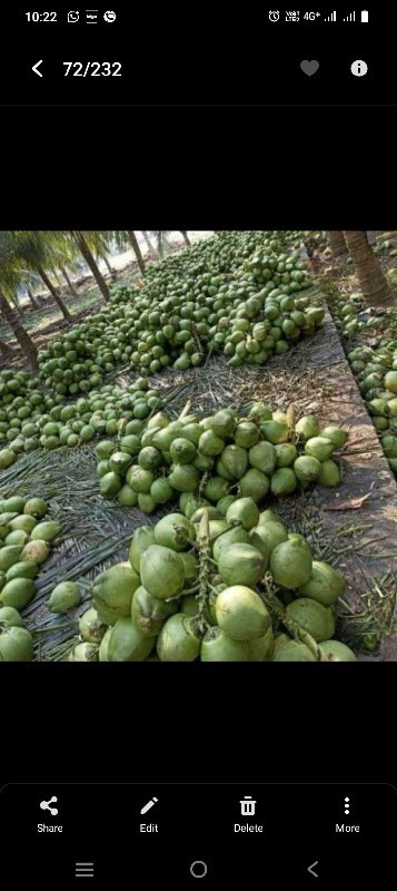 તરોપા લેવાના છે