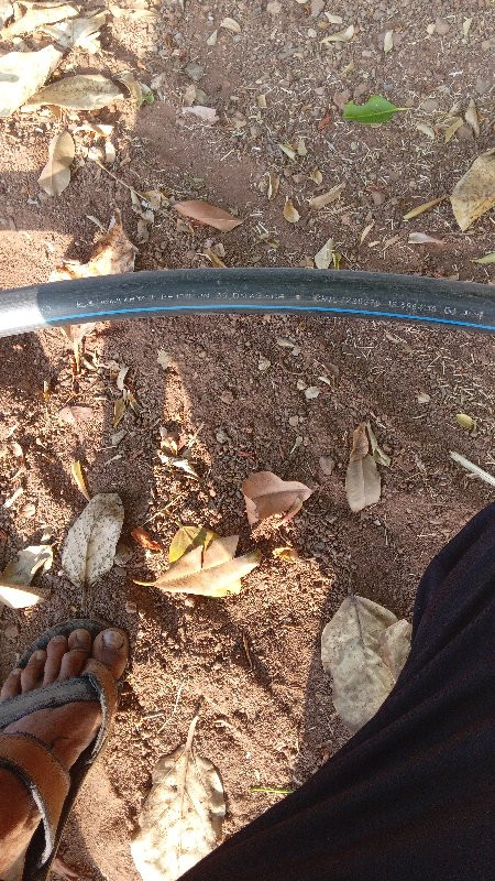 બોર નો બબો વેચવાનો છે 
સવાનો છે