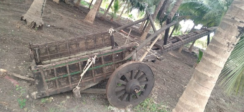 થંબનેલ 3