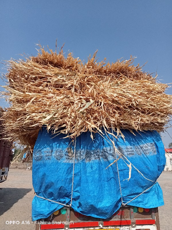 થંબનેલ 3