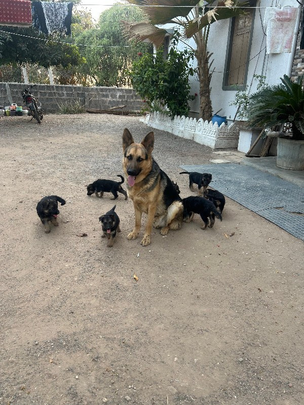 थंबनेल 3