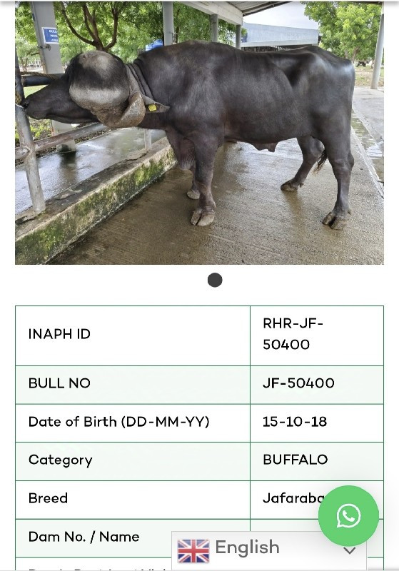 थंबनेल 2